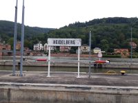 c32203da-a41b-41f5-86d4-80cbf2c4d4c2